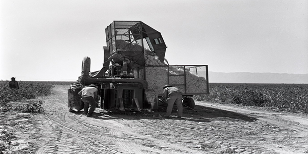 Agriculture: Pahrump Valley, 1962